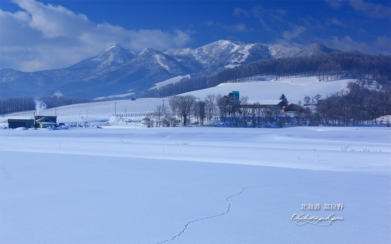 雪原の足跡と夕張山地 壁紙