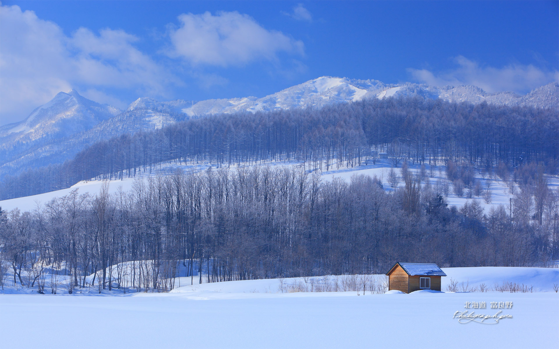 富良野清水山の霧氷と小屋