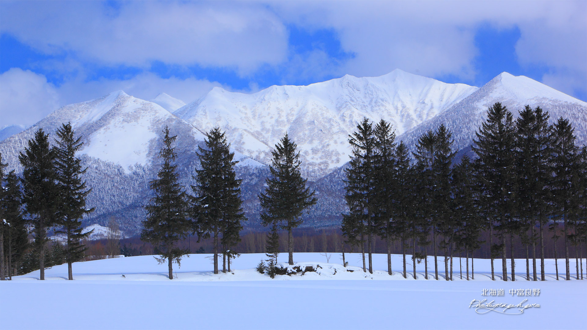 富良野岳