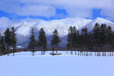 富良野岳