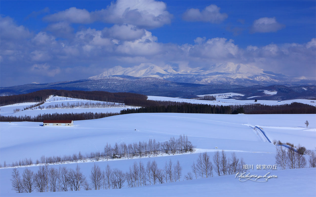 雪原の就実の丘 壁紙