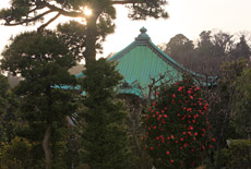 収玄寺