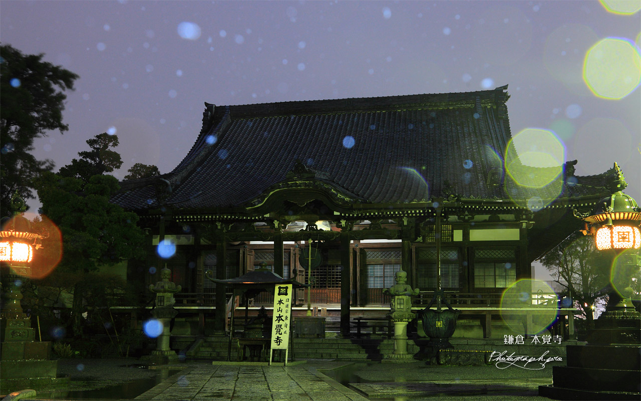 鎌倉本覚寺 雪降る本堂 壁紙