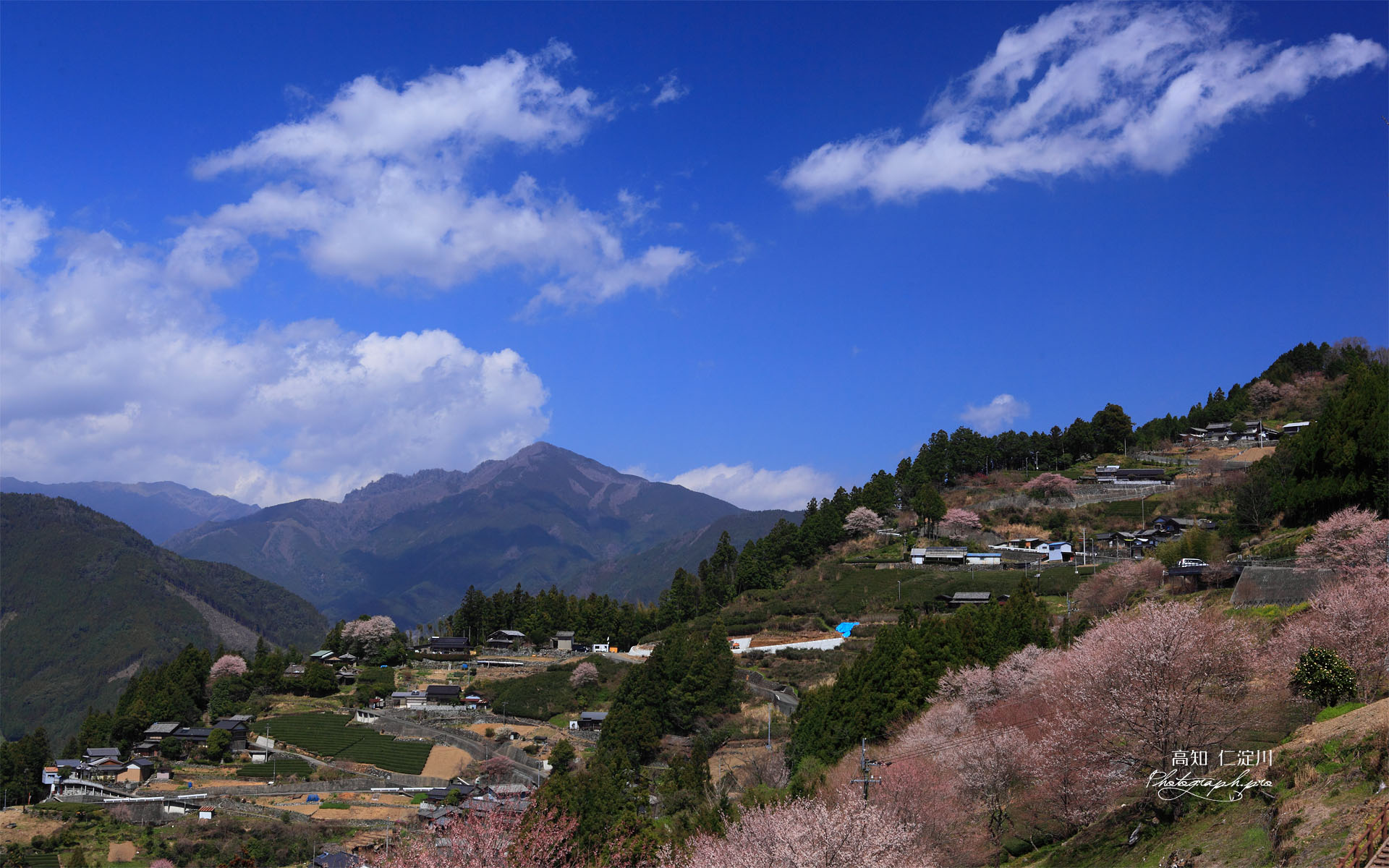 ひょうたん桜公園