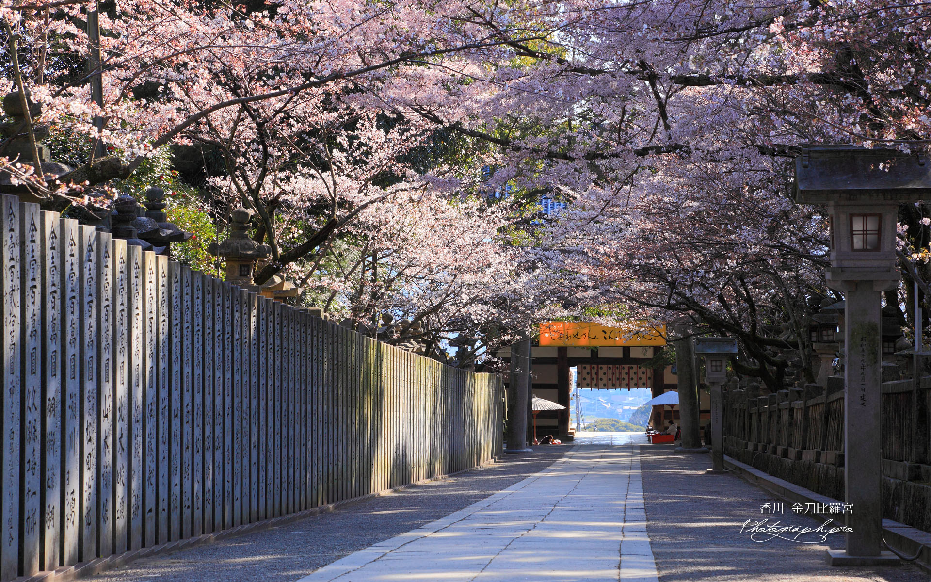 金刀比羅宮桜馬場と大門