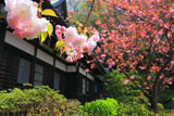 等覚寺