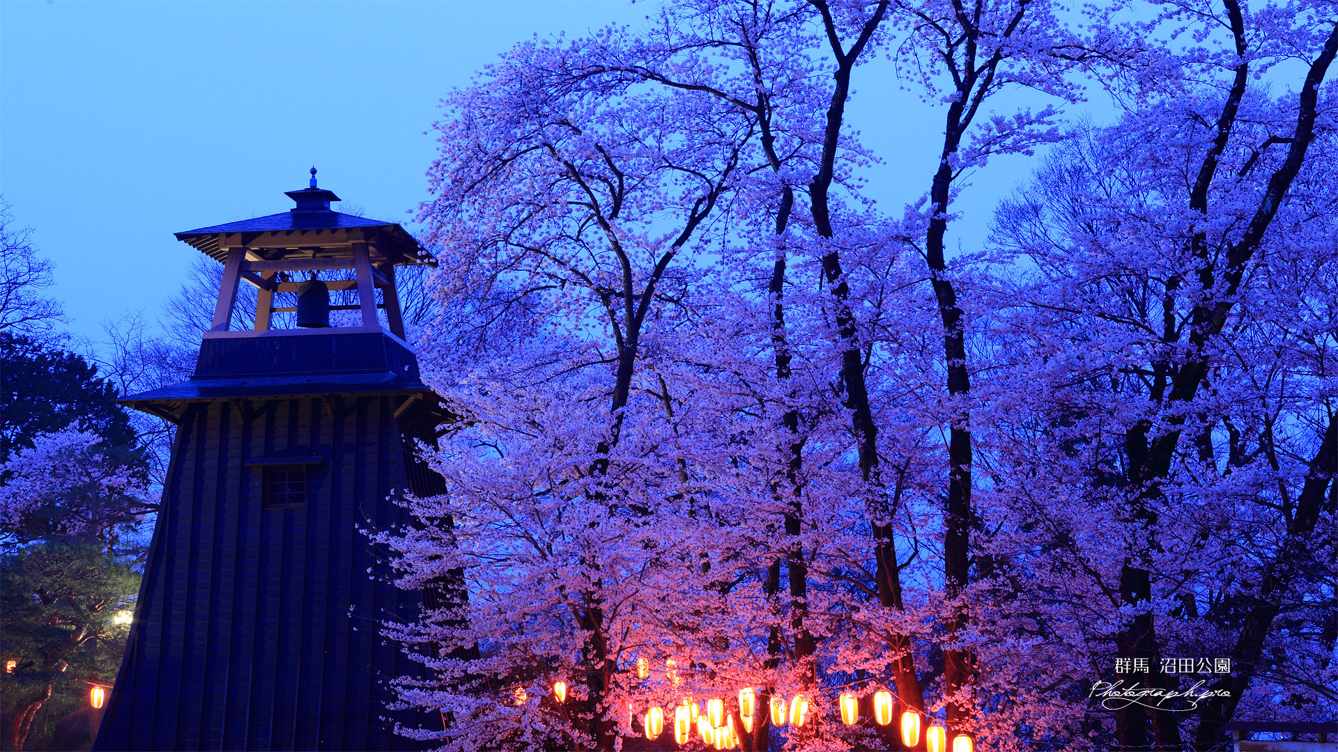 沼田公園の桜と城鐘