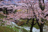 斑雪の白河小峰城