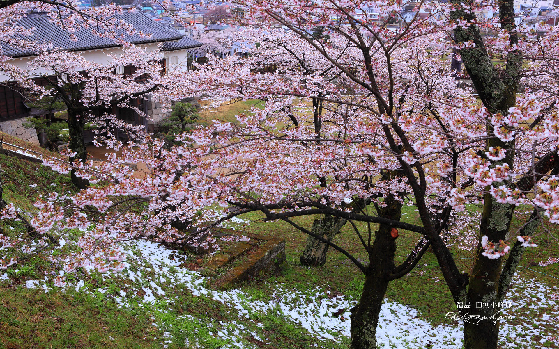 斑雪の白河小峰城