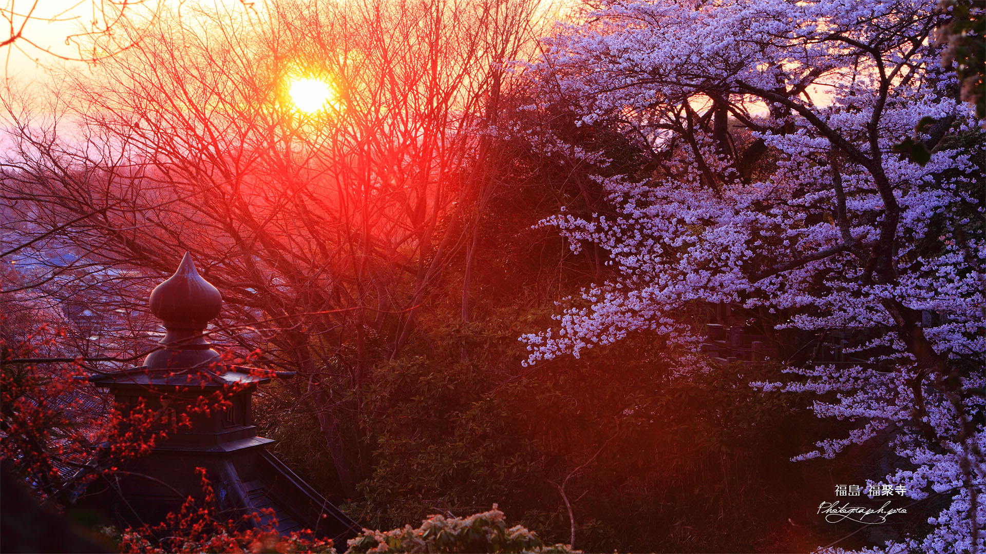 夕陽と福聚寺の宝珠