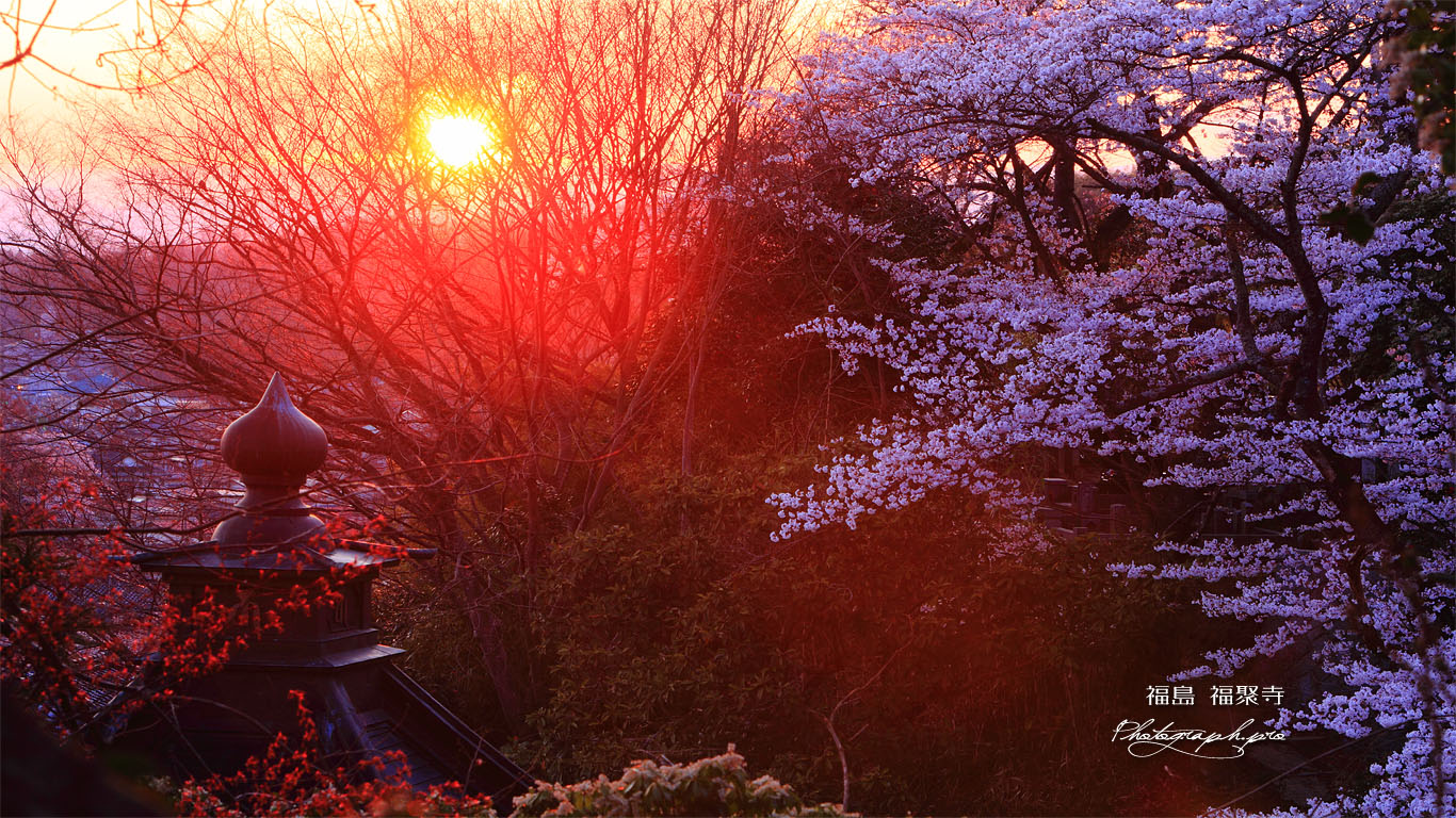 夕陽と福聚寺の宝珠 壁紙
