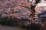 桜と地蔵