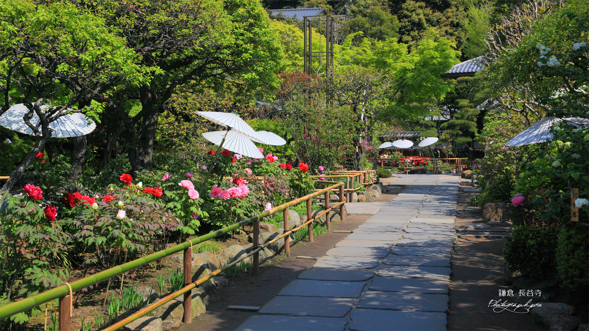 鎌倉長谷寺参道のボタン