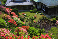 湘南モノレール沿線の寺