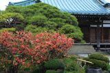 九品寺