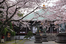 長勝寺