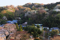 北鎌倉