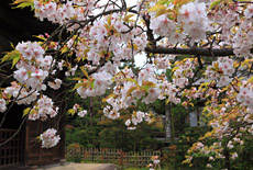 常楽寺