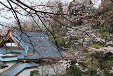 西念寺