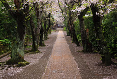 極楽寺