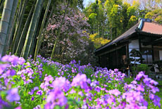 貞宗寺