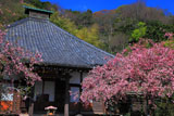 光則寺