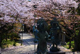 長勝寺 四天王像と桜