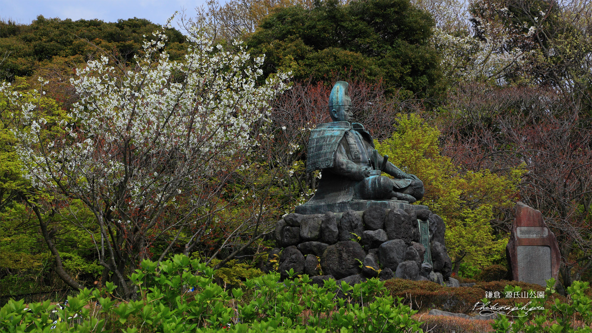 源氏山公園 大島桜と源頼朝像