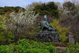 源氏山公園 大島桜と源頼朝像
