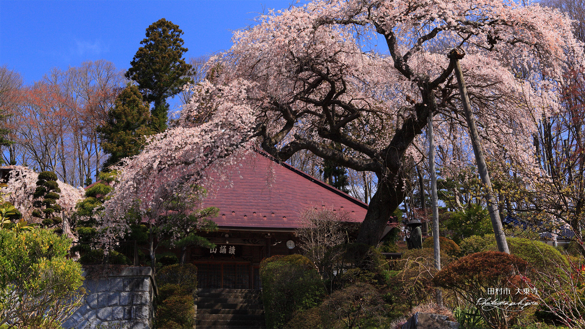 田村市 大乗寺本堂