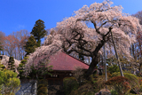 田村市 大乗寺本堂