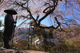 田村市 大乗寺親鸞聖人像