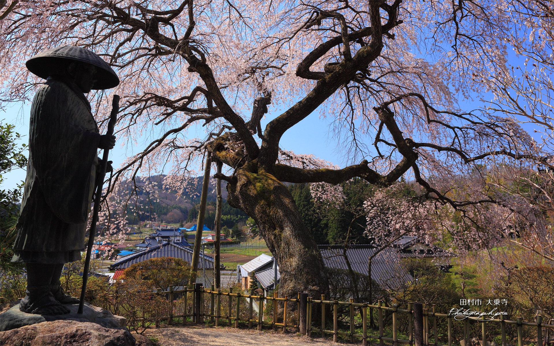 田村市 大乗寺親鸞聖人像