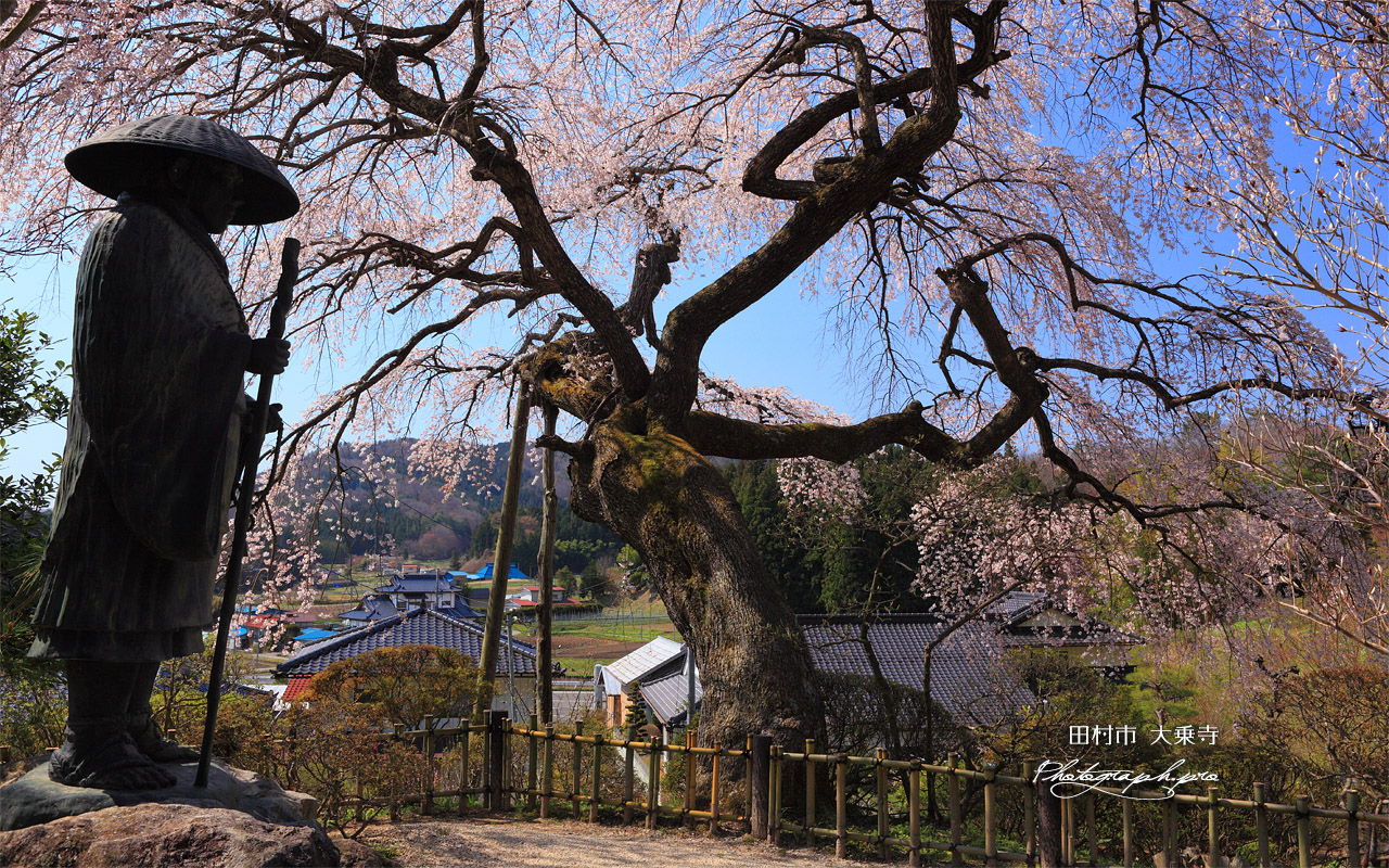 田村市 大乗寺親鸞聖人像 壁紙
