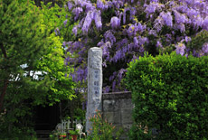 別願寺