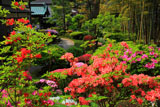 極彩色の仏行寺
