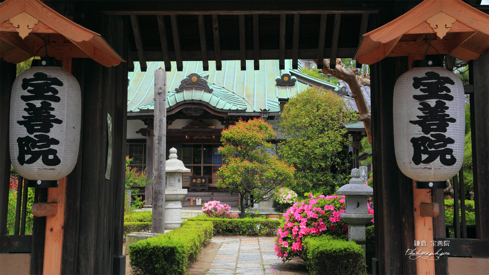 鎌倉 宝善院山門越しのツツジ
