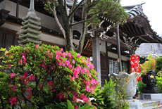 妙典寺