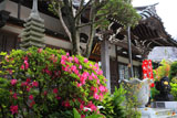 妙典寺