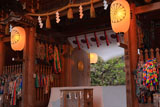 伊佐須美神社楼門越しの薄墨桜