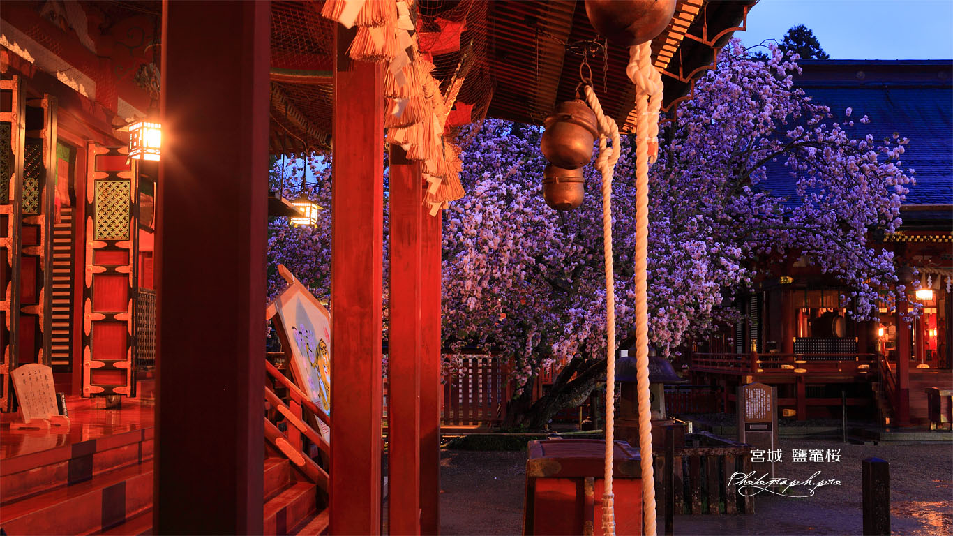 塩竈神社左右宮からの別宮 壁紙