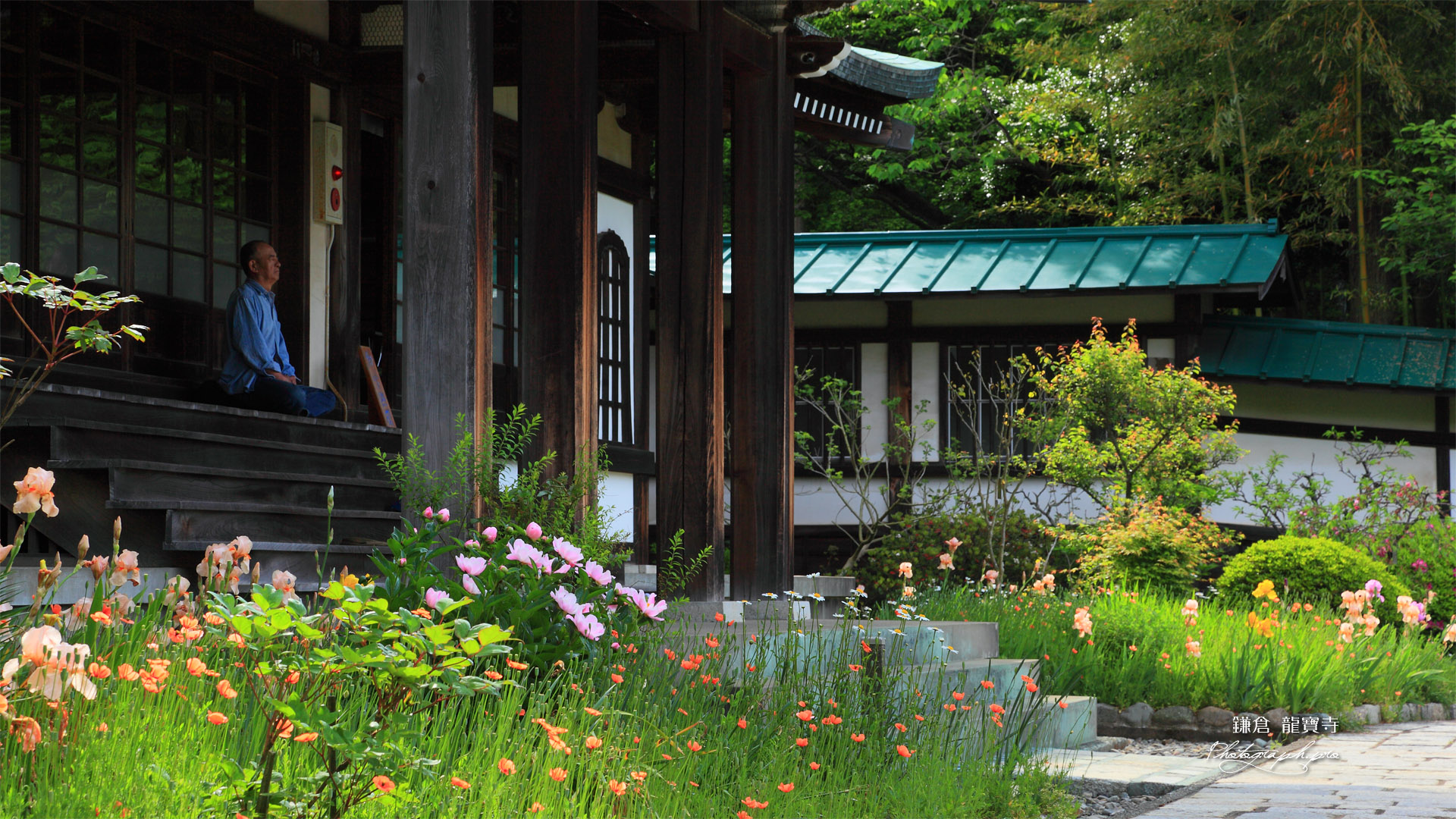 鎌倉龍宝寺本堂前の花々