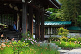 鎌倉龍宝寺本堂前の花々