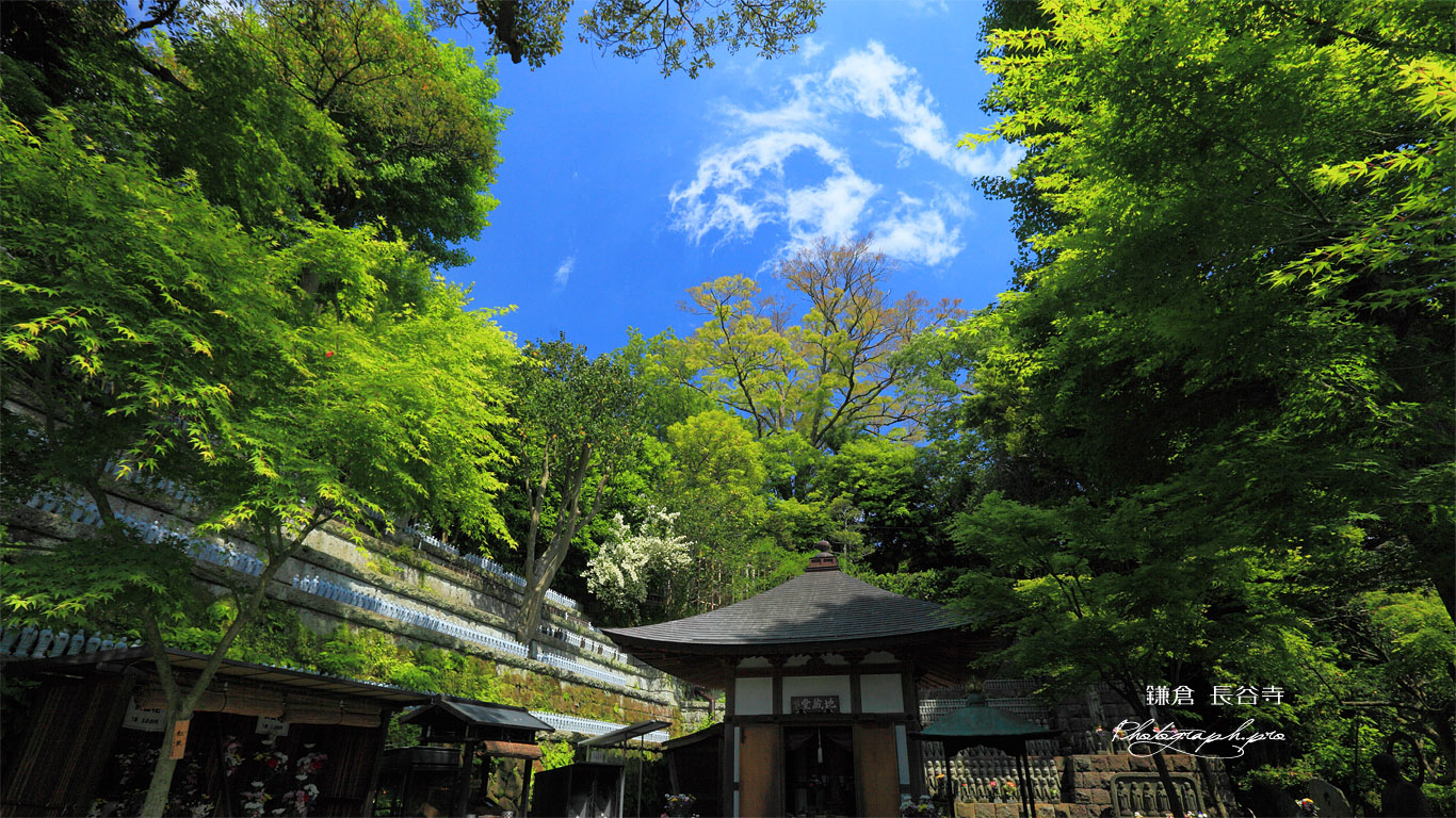 鎌倉長谷寺 新緑の地蔵堂 壁紙