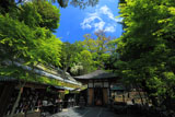 鎌倉長谷寺 新緑の地蔵堂
