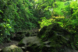 化粧坂