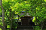 新緑の円覚寺居士林