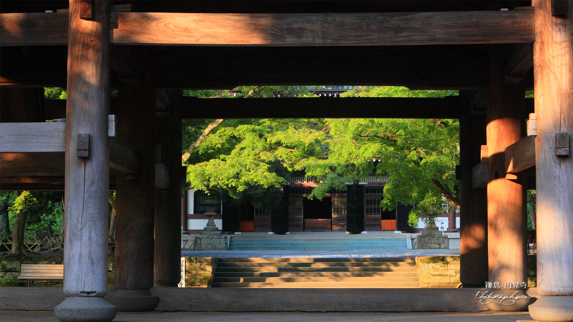円覚寺山門越しの新緑と仏殿
