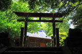 北野神社 新緑と社殿