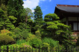 常楽寺 無熱池のサツキと本堂